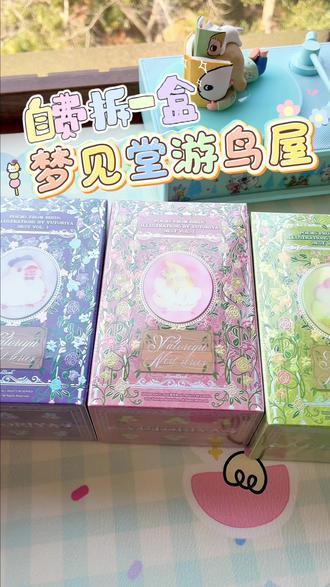 看看一盒梦见堂小鸟能拆出什么吧~#梦见堂 #游鸟屋 #梦见堂小鸟 #卡牌盲盒 #拆卡