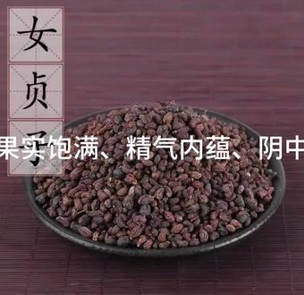 女贞子可以采收啦!
不涉及医疗问诊!