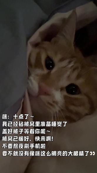 终于知道怎么治熬夜了……
咪:你睡觉了吗?#我和我的猫 #家有萌宠过大年 #它真的好像个小宝宝 #动物成精 #萌宠日常记录