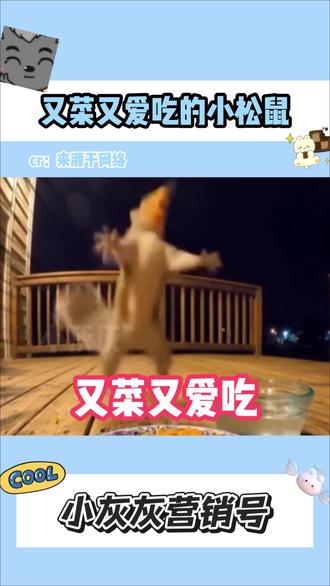 小松鼠吃火鸡面 #松鼠 #搞笑 #火鸡面