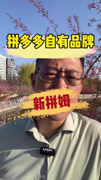 拼多多组建“新拼姆”,投1000亿重仓供应链#拼多多 #财富管理 #互联网大厂 #新拼姆 #商业管理