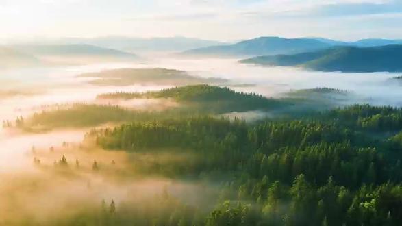 世界艾滋病日|万众一心 终将终结艾滋