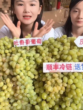 新疆吐鲁番当季新鲜水果无核白葡萄无籽皮薄脆顺丰冷运分仓发货#无核白葡萄#脆甜爽口#现摘现发