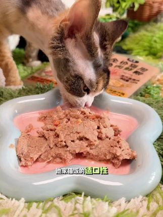 鲜肉零添加,营养美味吃着安心 #猫饭 #猫咪日常 #新手养猫 #科学养宠攻略 #猫