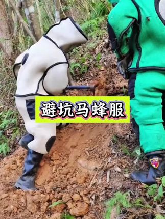 马蜂服怎样选,就用这款红娘金环黑尾虎头蜂闻风丧胆的透气马蜂服 #马蜂服 #红娘金环虎头蜂 #无限回购的宝藏单品