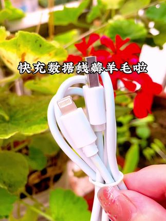 #创作灵感 人人都要用的东西,超便宜超划算,走过路过不要错过#商城好物季 #商城好物优选 #商城好物优选达人 @DOU+小助手