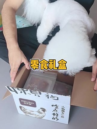 这零食大礼包哪个小狗不迷糊,过节送好朋🐶也是不错的选择#狗狗零食 #比熊 #匹卡噗 #宠物零食礼包 #宠物零食推荐