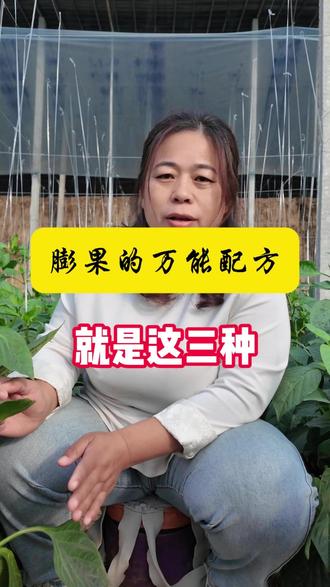 膨果的万能配方就是这三种#种植小技巧 #科普一下 #膨果配方