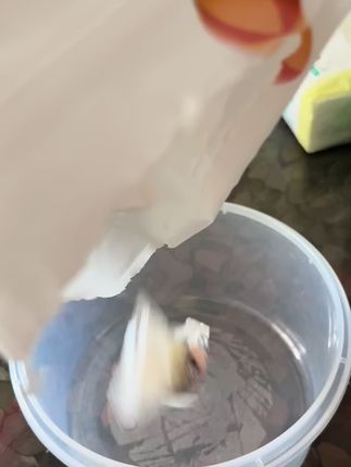 来自新疆的奶疙瘩#美食 #零食对我下手了 #太好吃了 #神仙吃法