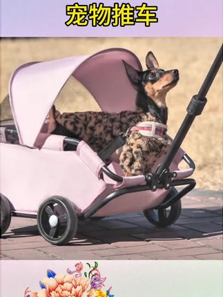 #宠物推车#小型宠物推车猫咪狗狗推车轻便可折叠户外出行手推车买菜宠物拉车#宠物拉车#宠物用品#手推车