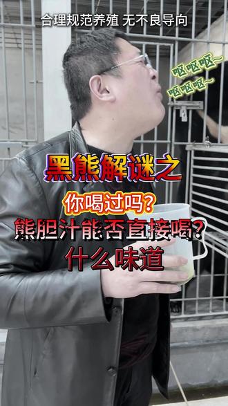 黑熊解密之胆汁能否直接喝 #科普 #熊胆粉 #熊胆粉老陈 #黑熊