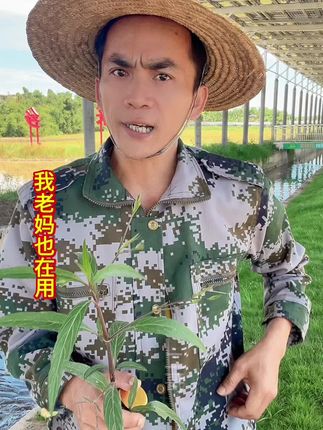 #我的乡村生活 #万万没想到 #抖音新农人 #内容太过真实 #海南话