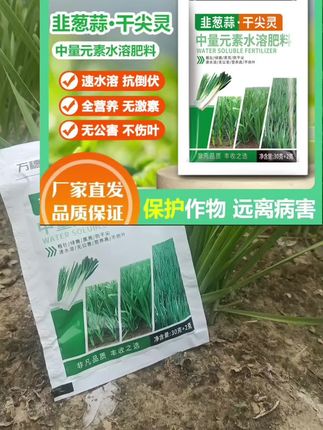 韭葱蒜干尖灵 解决干尖黄叶 黑点白点#三农 #农业种植 #干尖黄叶#抖音助农#水溶肥@DOU+推荐官 @抖加🔥上热门🔥dou+🔥热点宝