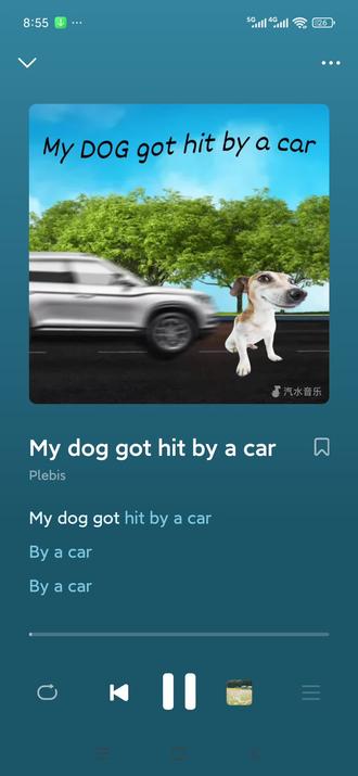 我的狗被车撞了,被车撞了,被车撞了。