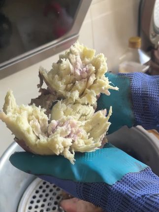 冰淇淋番薯,其貌不扬,内里惊艳。蒸熟后口感极致粉糯,质地细腻绵密,入口轻轻一抿便化于舌尖,带来板栗般的沙糯感与独特香甜,粉糯爱好者绝不可错过。#美食 #红薯 #粗粮 #冰淇淋番薯 #快来一起尝个鲜