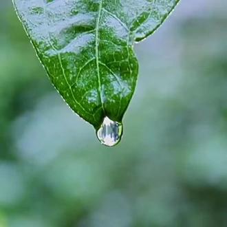 润泽在赣州的春天里