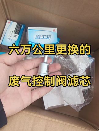 废气控制阀滤芯#废气控制阀滤芯