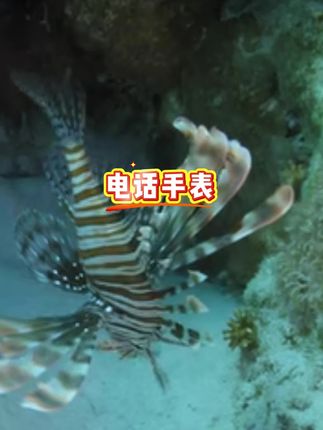 #手表#电话手表#智能手表