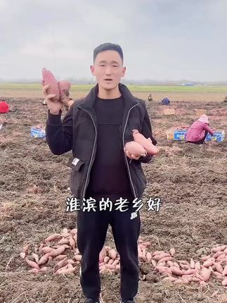 坏了包赔!河南当季新鲜红薯,粉糯软甜蒸煮都好吃 今天下午去田里收了两车红薯,晚上回来洗一桶给大家尝一下!#优质农产品#我的乡村生活#农产品#地瓜#各省丰收战队申请出战