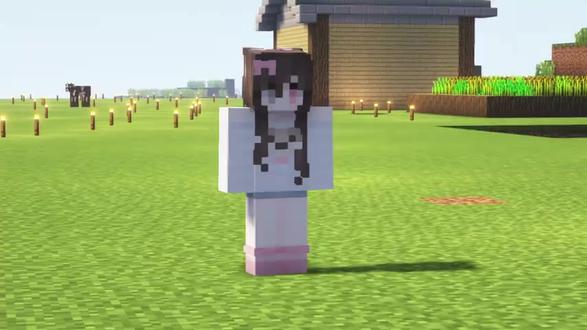 54秒通关我的世界!