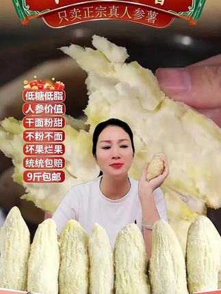 【9斤包邮】白皮牛奶人参薯新鲜现挖白心番薯板栗薯白薯地瓜红薯
