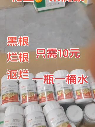 #花生高产全程模式化管理 #支持三农扶持三农发展 #支持抖音传播正能量 #@🔥🔥🔥短视频热点宝 @燕牛姐(晚8:50) @1