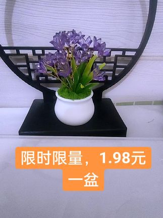 这款小百合盆栽谁还没抢到?教师节炸福利,限时限量1.98元一盆,链接在左下角,拍最后一个选项,可以备注两个颜色!快,快,快!#手工diy #摆摊创业