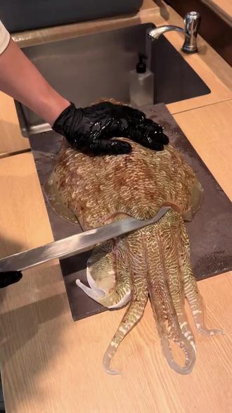 五种常见病中医教你调#中医#抖出健康知识宝藏#我的年度健康盘点#涨知识医疗科普