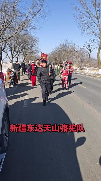 新疆东达天山骆驼队,重走古丝绸之路。