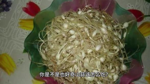 秦岭高山野菜,春天的味道唤醒你的味蕾! 今天又去山上采了满满一筐山里的宝贝!有喜欢吃的吗?#三农 #优质农产品 #现摘现发新鲜到家 #产地直发 #大蒜
