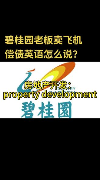 将英语学习融入到生活中,碧桂园老板卖飞机偿债#英语 #碧桂园 #房地产