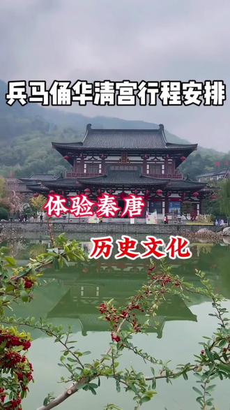 兵马俑华清宫一日游,体验秦唐历史文化#西安旅游 #西安旅游攻略 #西安旅游打卡 #西安旅游必去景点 @抖音小助手