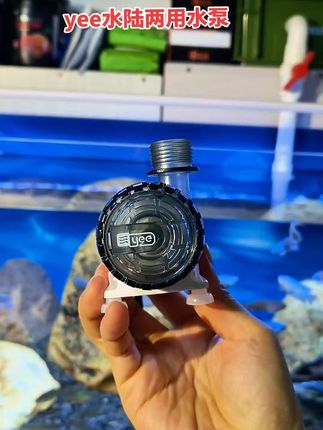 终于等到yee全新升级版水陆两用定频水泵,价格实惠,性价比高 #鱼缸水陆两用水泵 #鱼缸定频水泵#鱼缸潜水泵#鱼缸水泵