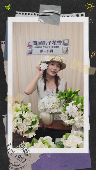 #纯白栀子花 我把家乡最好的花送给你
