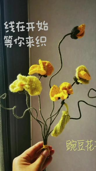 🌸 三八节 | 做一束豌豆花|视频日记01
忙活了一天
就这样吧#毛线钩织 #手工 #手工diy #三八女神节 #编织