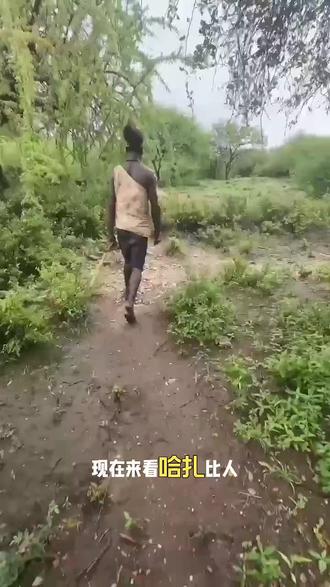 非洲户外狩猎第一季(五) #非洲纪录片#非洲生活#户外#狩猎#哈扎比部落