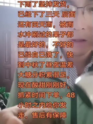 周至翠香猕猴桃连阴雨7天坚持发货,风雨无阻#记录我的生活 #翠香猕猴桃