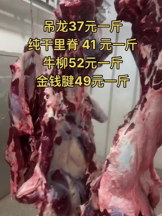 吊龙37元一斤
纯干里脊 41 元一斤
牛柳52元一斤，50斤一件缺
金钱腱49元一斤，50斤一件#吊龙 #牛肉 #黄牛肉 #牛羊肉批发 #牛副产品