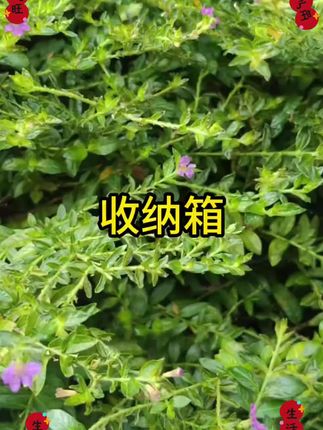 汽车专用后备收纳箱