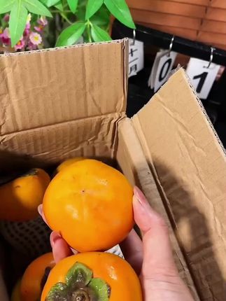 真甜啊 甜滋滋 甜蜜蜜 #香脆可口 #巧克力 脆柿 #巧克力脆柿子可以直接带皮啃吃 #嘎嘣脆的声音 #应季水果