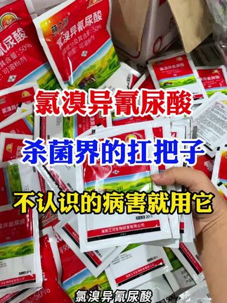 #氯溴异氰尿酸 #农业种植 #抖音助农 #锈病 #三农