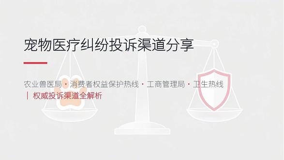 【播客】宠物医疗纠纷问题大家赶紧收藏起来 #宠物医疗 #宠物纠纷 #医疗纠纷 #宠物疾病 #宠物维权