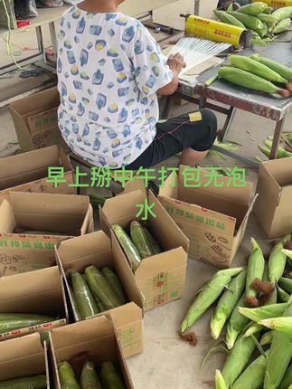 #优质农产品 #口感特别好 #软糯香甜