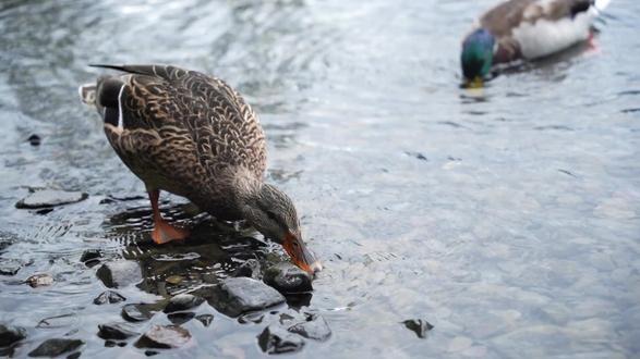 超20个巡查组空降!大批医院被查