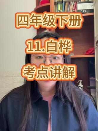 从白桦看考点#四年级下册语文