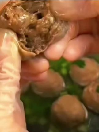 #汕头直发 潮汕牛肉丸正宗潮汕手打牛肉丸牛筋丸火锅烧烤食材新鲜#好物推荐🔥 #