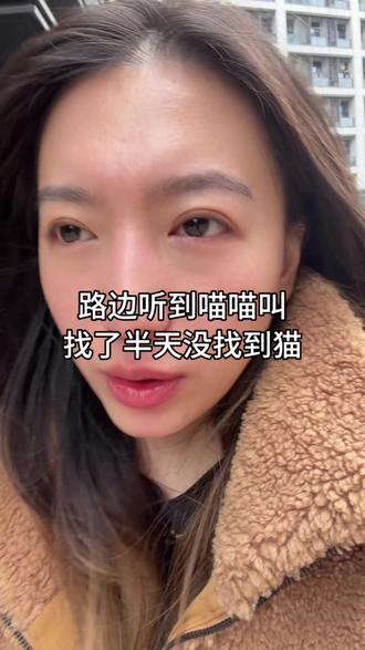 在外面对猫叫声特别敏感 #养猫的应该都懂吧