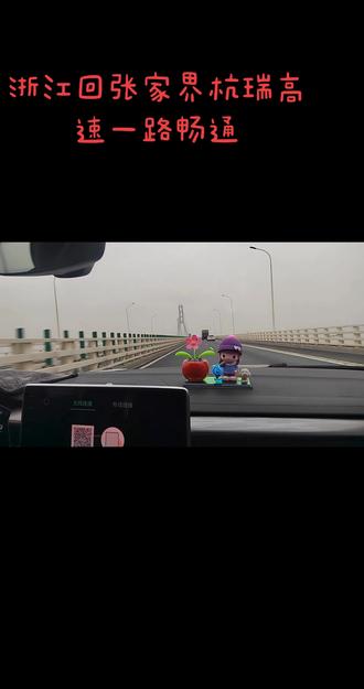 #回家倒计时 浙江回湖南张家界,宝子们杭瑞高速一路畅通#杭瑞高速洞庭湖大桥 #杭瑞高速