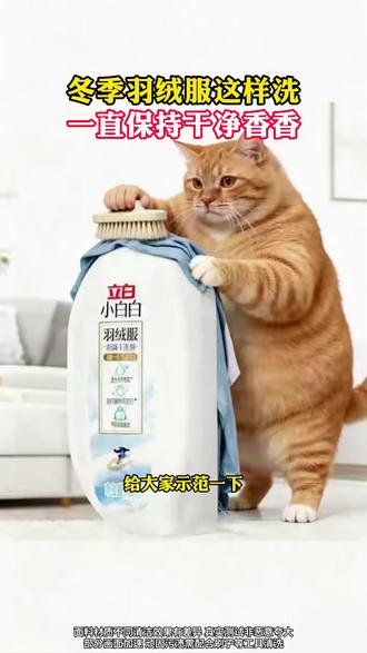 这个立白小白白羽绒服泡沫干洗剂真的太神奇了!我的羽绒服都变得超干净,连别的衣物、鞋子都可以使用哦!#立白 #泡沫干洗剂 #洗护好物 #超便宜超划算