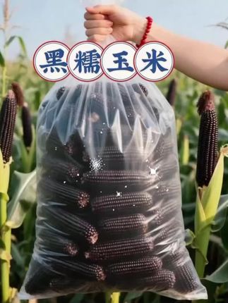 #健康 #玉米 #农业知识科普 #好货分享 #每日分享 @DOU+小助手 @上热门🔥🔥🔥